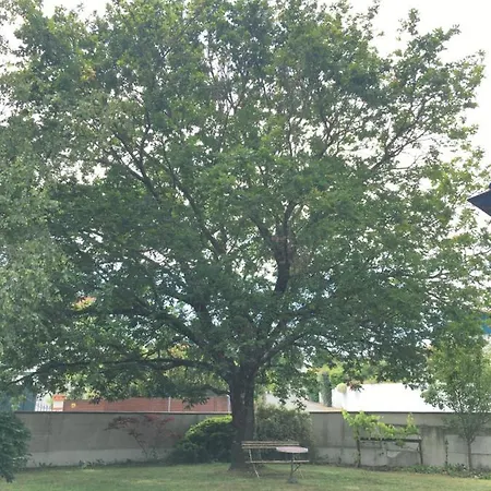 Haritza Англе