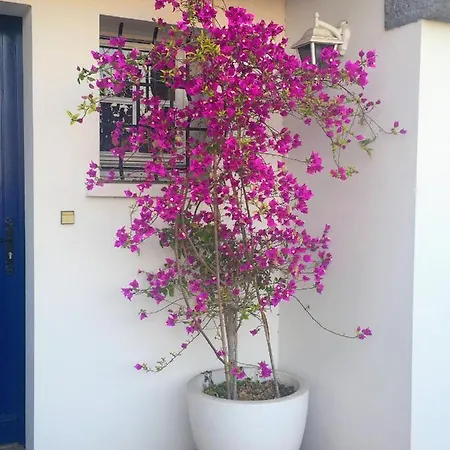 Haritza Bed & Breakfast Anglet