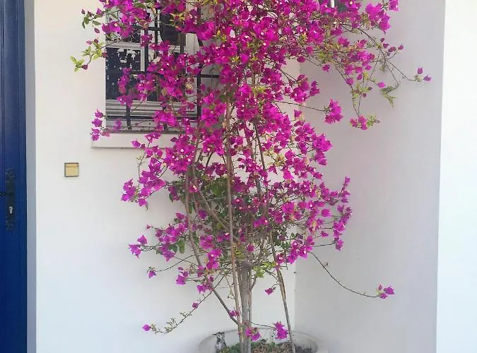 Haritza Bed & Breakfast Anglet